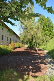 Super 8 by Wyndham Port Angeles at Olympic National Park