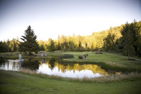 The Inn At Port Ludlow
