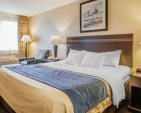 Comfort Inn On The Bay