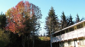 Motel Puyallup