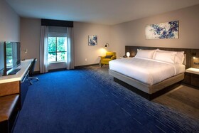 Hilton Garden Inn Redmond Seattle