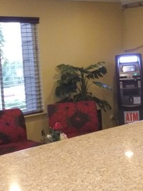 Sutton Suites Hotel