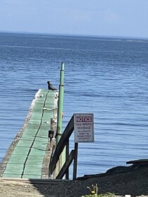 Curley's Resort & Dive Center