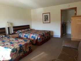 Shelton Inn