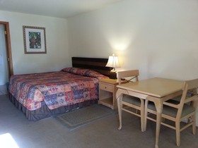 Shelton Inn