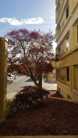 Ramada by Wyndham Downtown Spokane