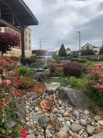 Comfort Suites Tukwila