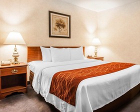 Comfort Inn Conference Center Tumwater