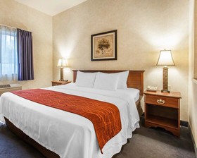 Comfort Inn Conference Center Tumwater