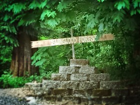 Robin Hood Village Resort