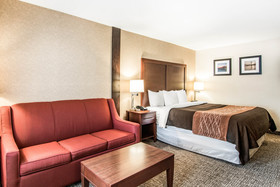 Comfort Inn & Suites Vancouver Downtown City Center