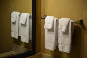 Comfort Inn & Suites Vancouver Downtown City Center