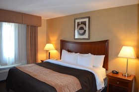 Comfort Inn & Suites Vancouver Downtown City Center