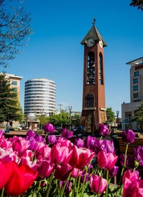 Hilton Vancouver Washington