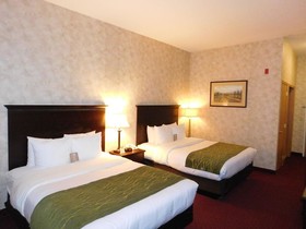 Comfort Inn & Suites