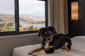 Residence Inn Wenatchee