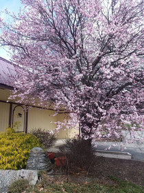 APM Inn & Suites