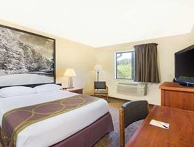 Super 8 by Wyndham Ripley