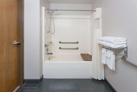 Microtel Inn & Suites by Wyndham Appleton