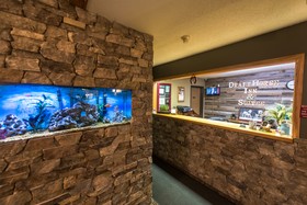 Draft Horse Inn & Suites