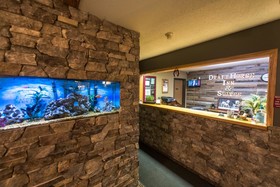Draft Horse Inn & Suites
