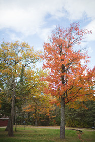 Mission Springs Lake House