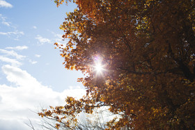 Mission Springs Lake House