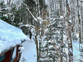 Hauser's Bayfield Cabin