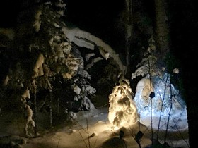 Hauser's Bayfield Cabin
