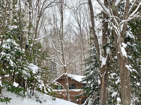 Hauser's Bayfield Cabin