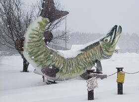 Boulder Bear Motor Lodge