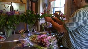 Manderley Bed & Breakfast