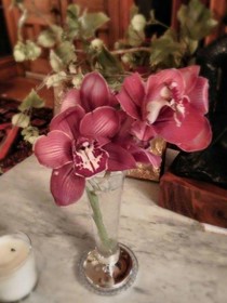 Manderley Bed & Breakfast