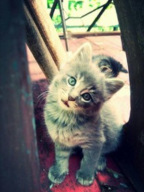 Manderley Bed & Breakfast