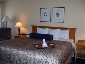 Best Western Inn