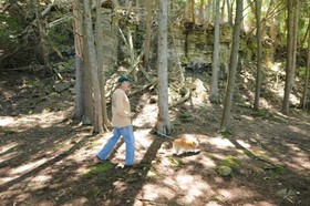 Country House Resort