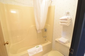 Polynesian Wisconsin Dells Hotel