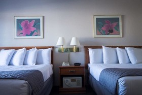 Polynesian Wisconsin Dells Hotel