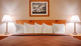 Best Western Wittenberg Inn