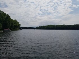 Timberlane Lodge - Blue Gill