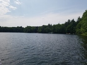 Timberlane Lodge - Blue Gill