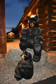 Kodiak Mountain Resort