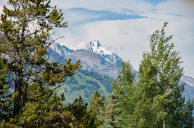 The Aspens