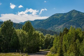 The Aspens