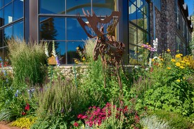 The Lexington at Jackson Hole Hotel & Suites
