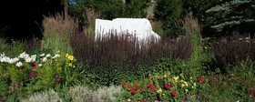 The Lexington at Jackson Hole Hotel & Suites