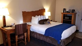 The Lexington at Jackson Hole Hotel & Suites