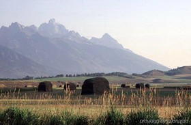 The Wyoming Inn of Jackson Hole