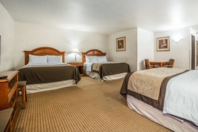 Quality Inn & Suites University