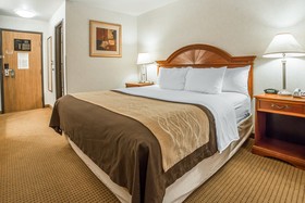 Quality Inn & Suites University